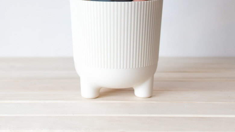 A person places a houseplant in a plastic nursery pot inside a larger pot