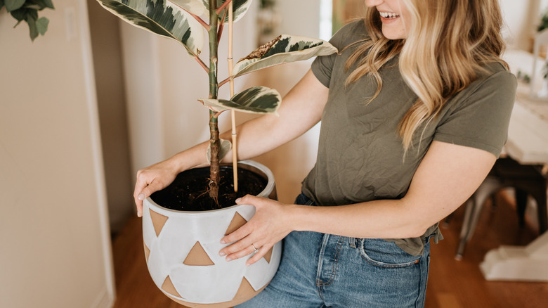A woman holds a large house plant in a beautiful pot