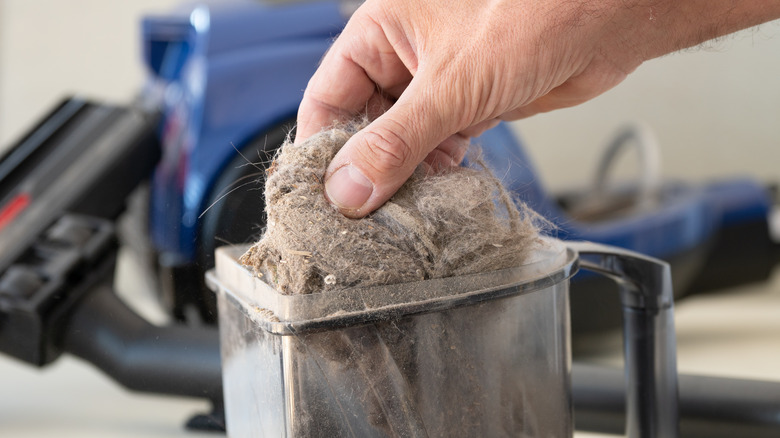 hand pulling dirt from vacuum