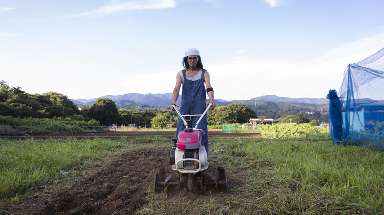 A farmer uses a small tilling machine to turn over the soil.