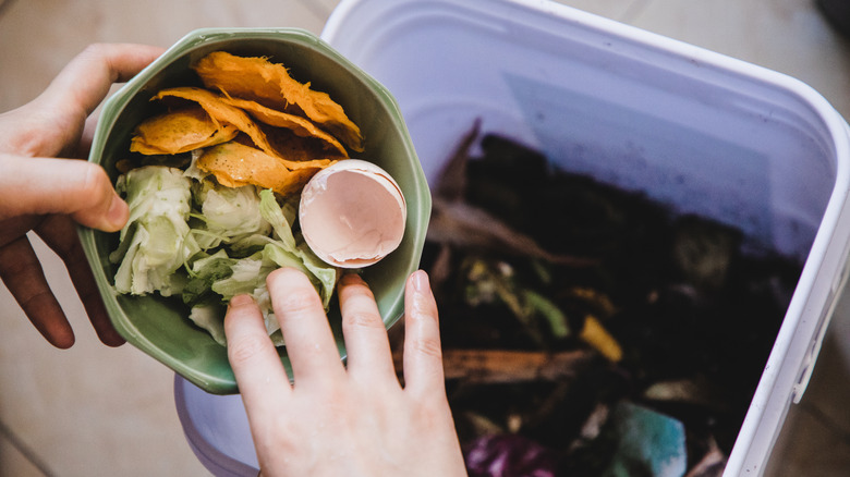 Closeup of person's hands dumping kitchen scraps in a compost bucket