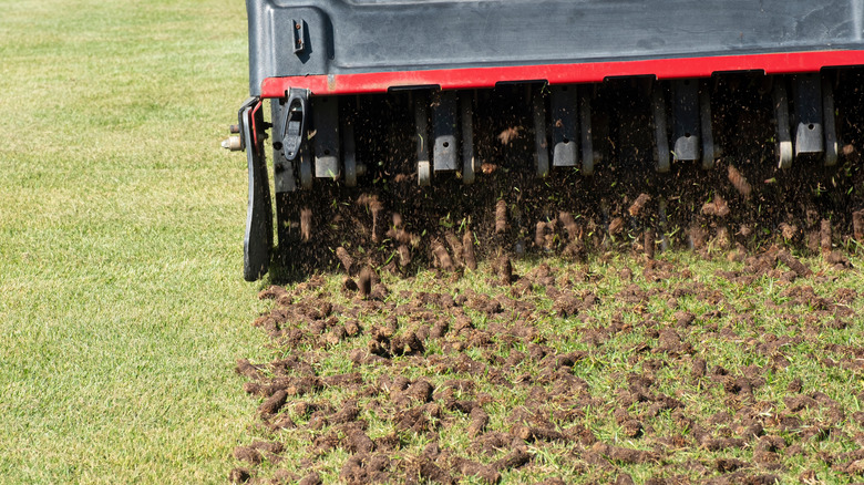 lawn being aerated with machine