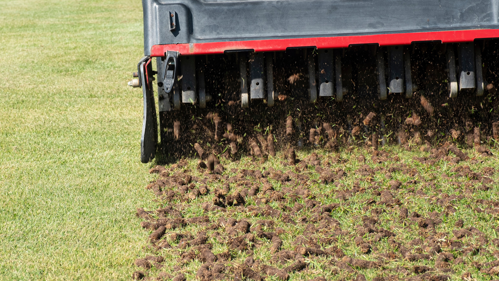 One Mowing Mistake To Avoid After Aerating Your Lawn
