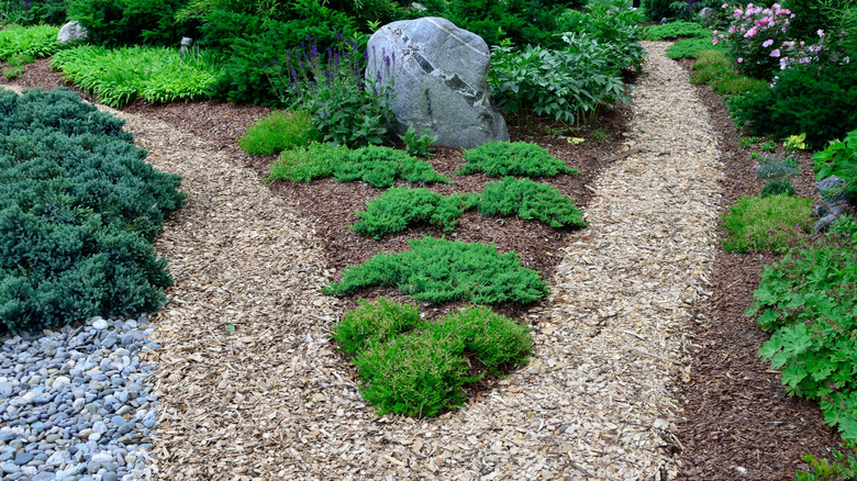 A well-maintained garden with gravel paths and ground cover plants along the edges