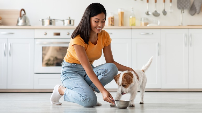 Woman setting down dog bowl