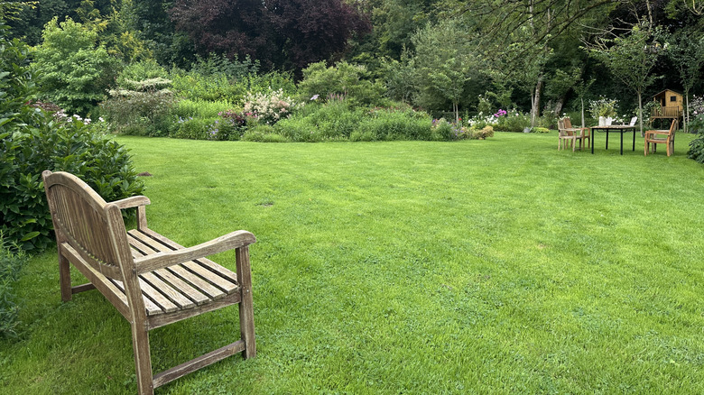 Large open lawn area in a garden with wood furniture.
