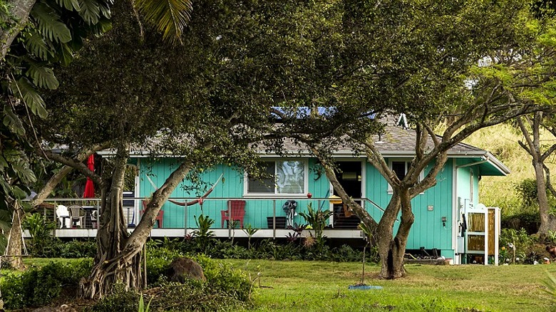 A light blue Hawaiian home is surrounded by trees