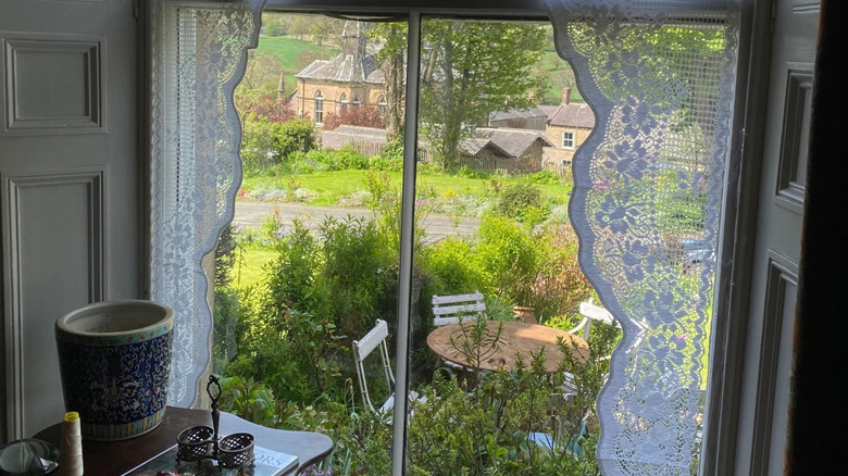 lace jabot curtains around window
