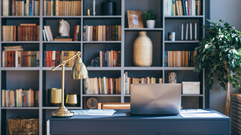 bookshelf in home office