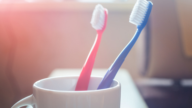Toothbrushes in mug