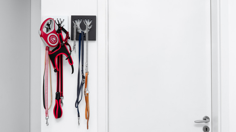 A dedicated set of hooks for dog leads next to a house door