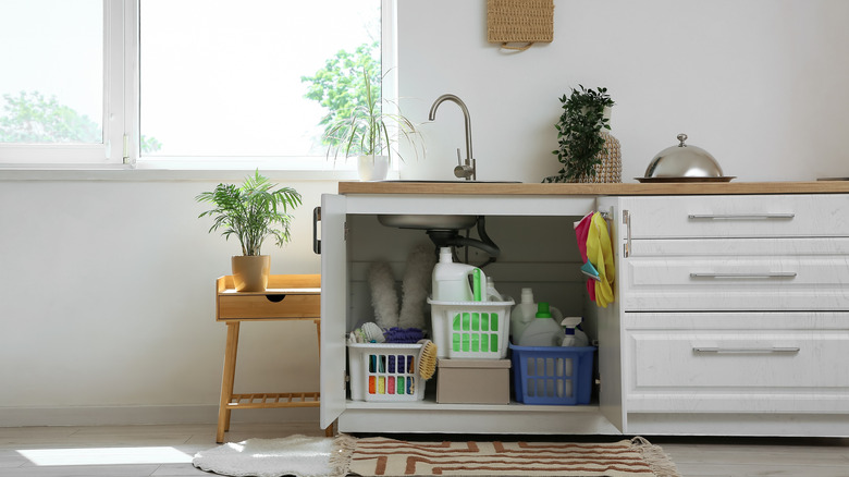 Open under sink cabinet with cleaning supplies.