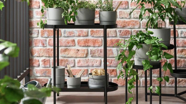 OLIVBLAD plant stand filled with herb pots on a brick-walled patio.