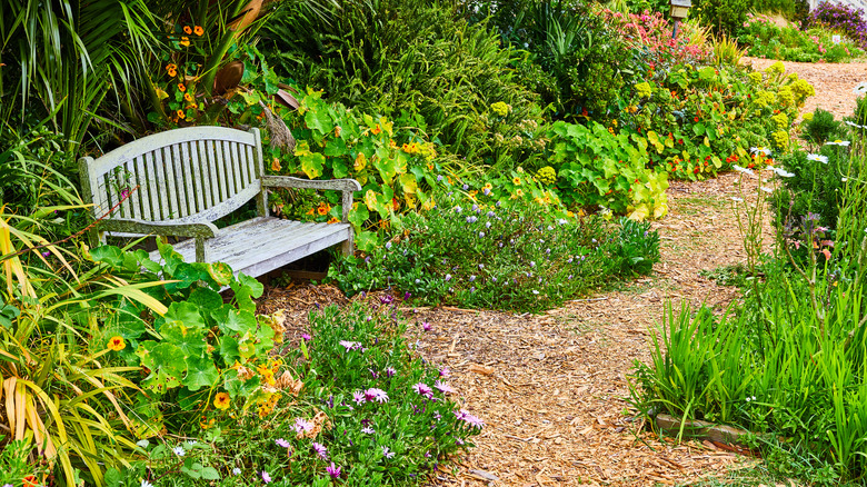 Bench beside pathway through garden