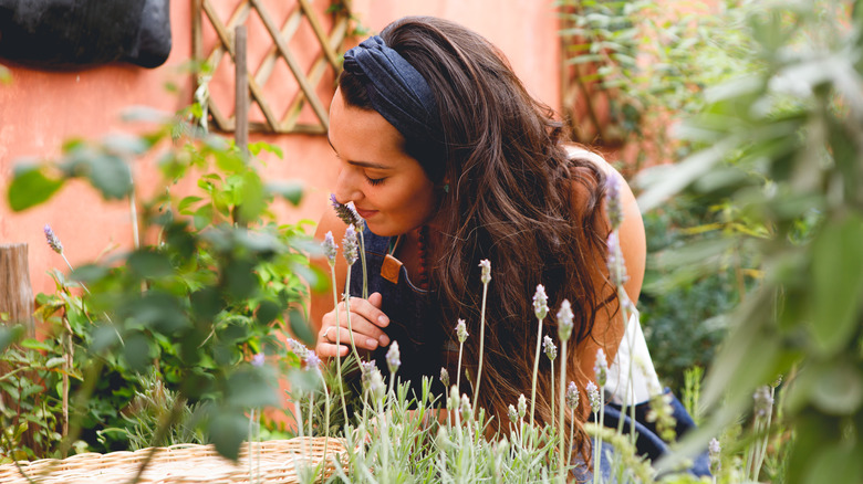 Woman smelling flower in garden