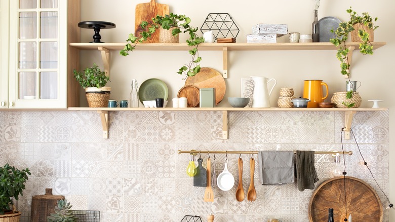 plants in kitchen