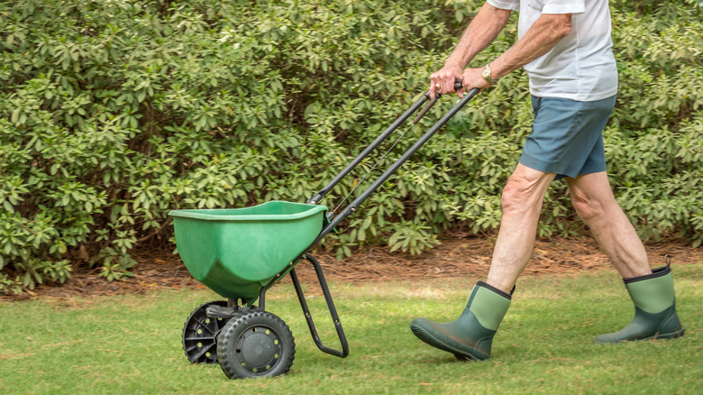 man pushing fertilizer spreader
