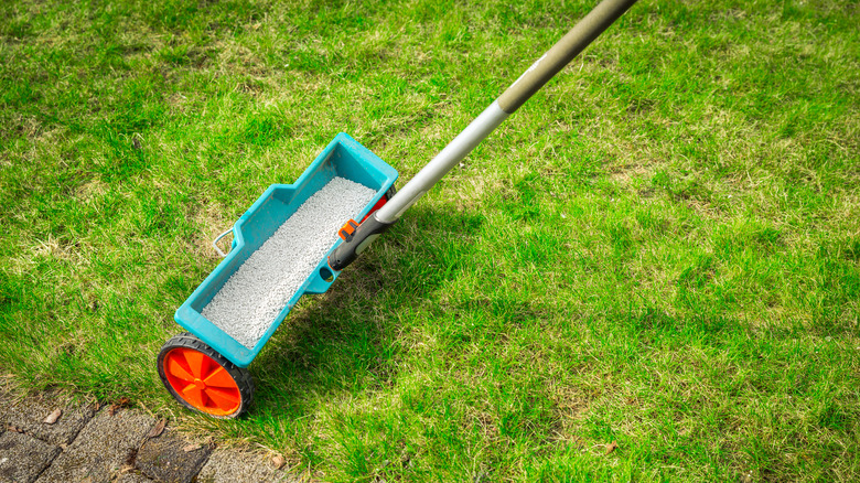 fertilizer spreader on grass