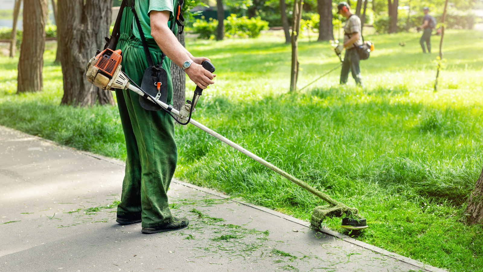 Our Lawn Care Expert s Best Tips For Choosing The Right Lawn Care how-much-does-it-cost-to-start-a-lawn-care-business-all-you-need-to