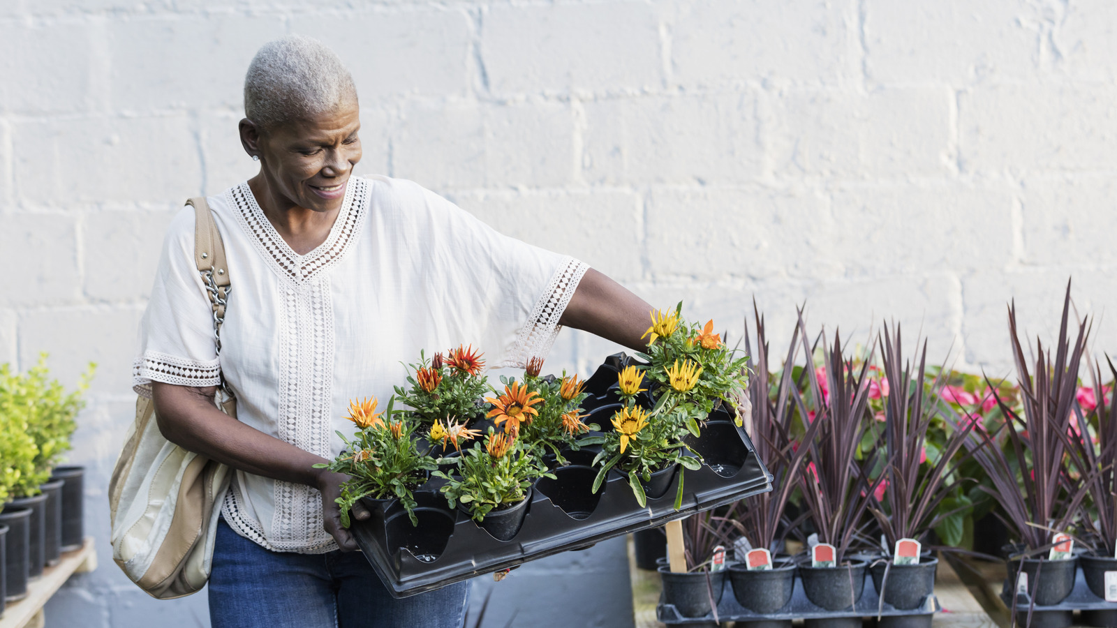 Our Master Gardener Reveals Items You Can Pick Up At Aldi For A Bargain d-d-5th-edition-monster-manual-review-a-deep-resource-for-dms