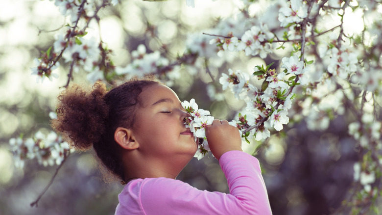 child smelling tree flowers