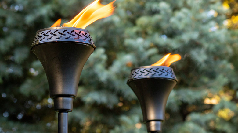 Steel tiki torches with flame and plants in the background.