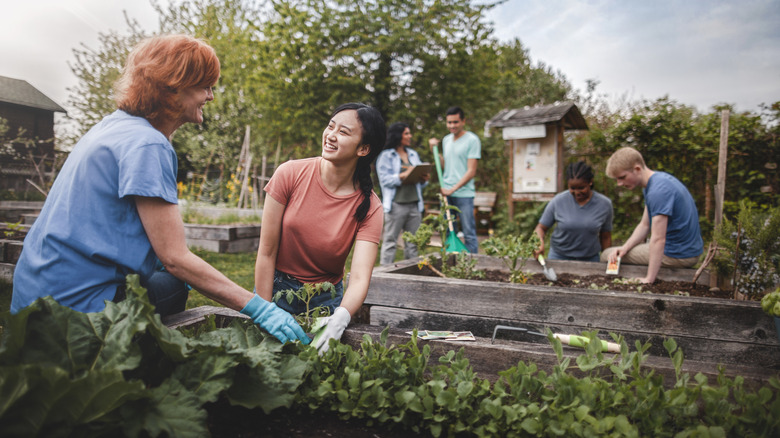 community garden