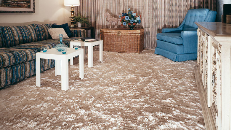 vintage living room with shag carpet