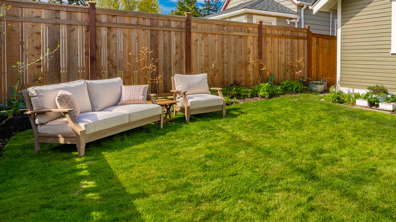 Heavy sofa and chair on grass in yard of a house