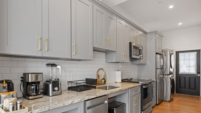 Modern kitchen with gray cabinets