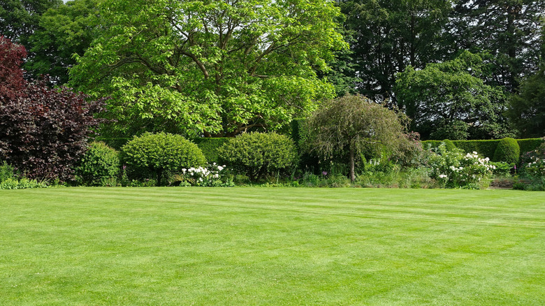 Perfectly flat lawn with no elevation changes