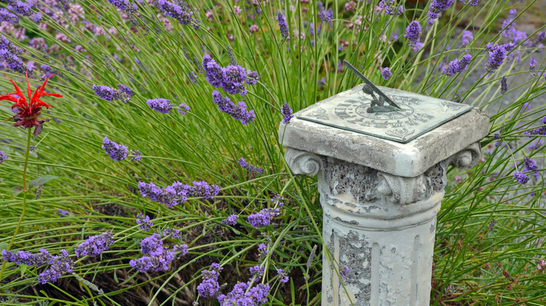 a weather-worn sundial next to a lavender bush and red bee balm flower