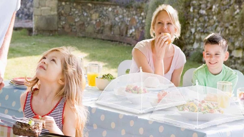 A family making use of Lauon's Large Pop-Up Food Screen Tents, 6-pack