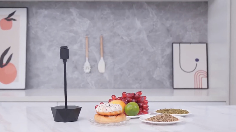 One of Pimag's Fly Fans on a kitchen counter protecting food from flies