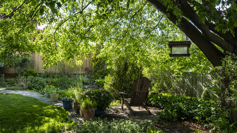 A garden seating area is shaded by a large tree