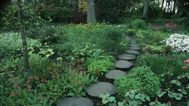 Flowers surround large steppingstones
