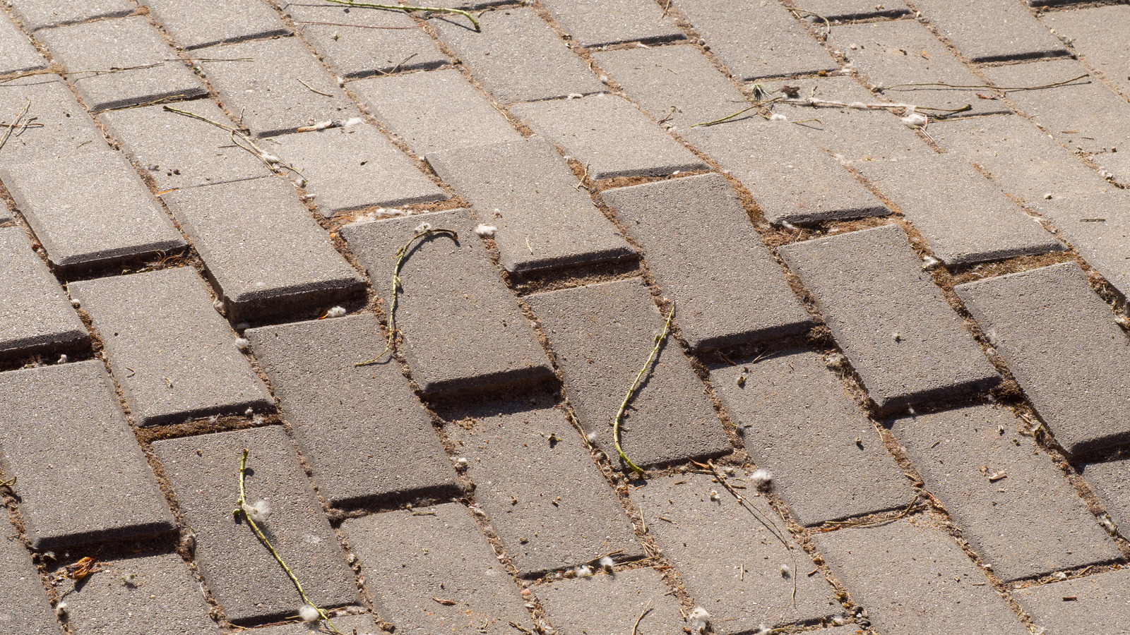 Outdoor Flooring Options To Consider When Working With An Uneven Surface
