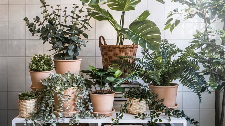 Artificial plants in pots on a white table