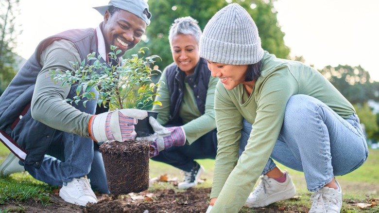 Person doing gardening