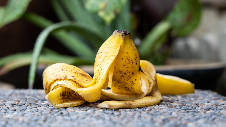 a banana peel on a rock surface