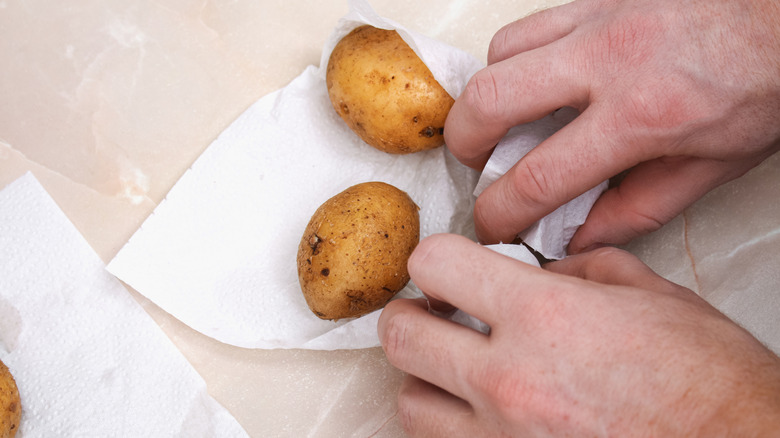 Potatoes are being wrapped in plain white paper towels.