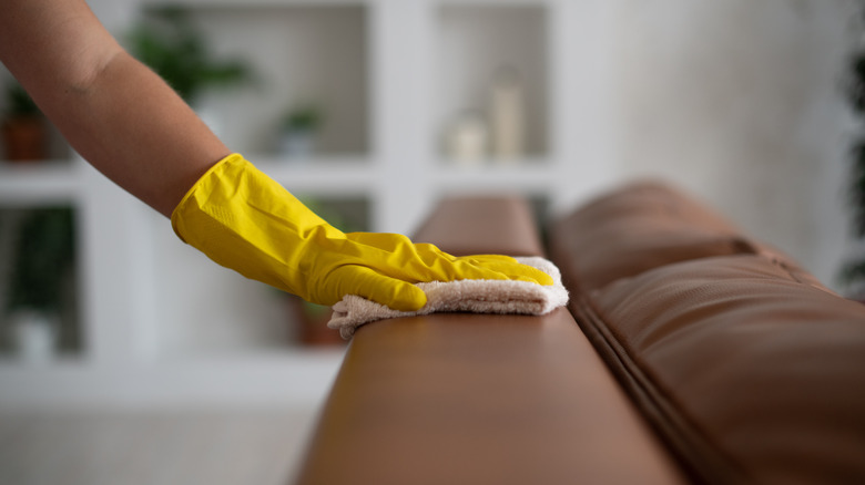 Someone cleaning leather couch