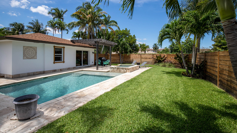 Backyard design with a swimming pool, paved border, and grass.