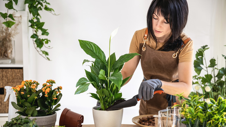 A woman working on adding soil to a peace lily in workshop
