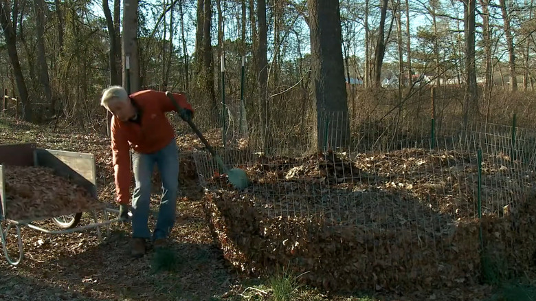 a man hauls leaves to a large composting bin made with wire mesh and stakes