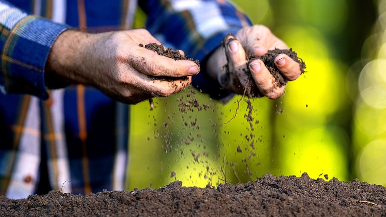 Close-up of hands crumbling topsoil onto more topsoil on a flat surface