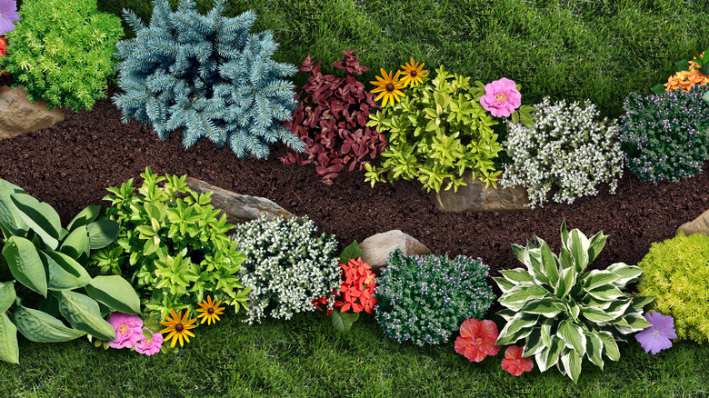 Aerial view of perennial garden