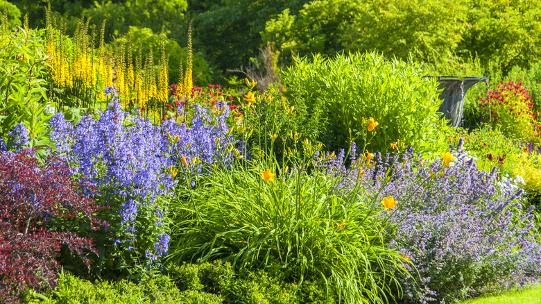 Perennial garden