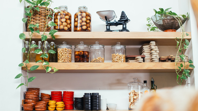Imitation greenery in pantry