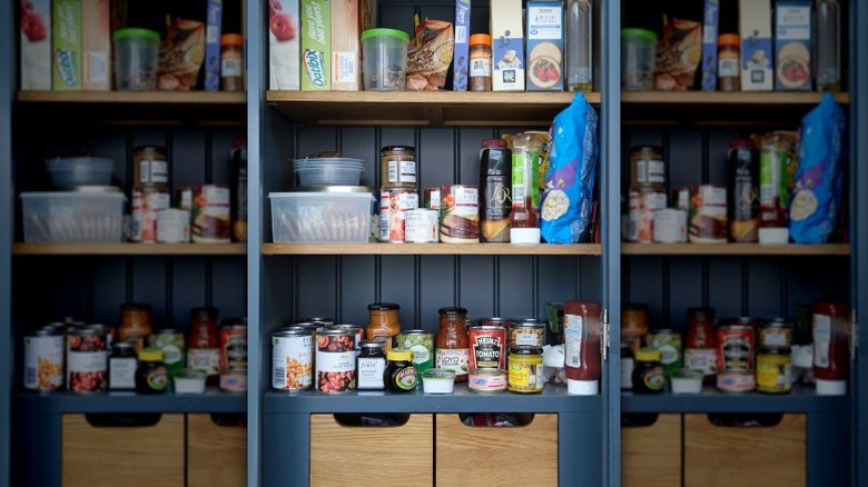 Narrow pantry closet